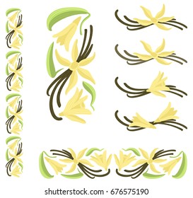 Vanilla dried pods with flowers and leaves. Multicolor decor elements. 