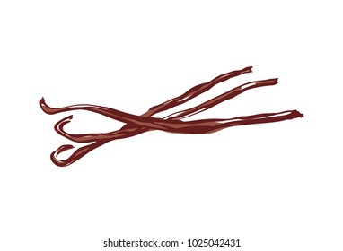 Vanilla dried sticks icon isolated on white background. Exotic asian spice for dessert or parfum industry vector illustration.