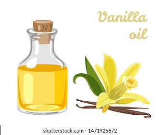 Vanilla essential oil in a glass bottle and yellow fragrant flower Isolated on a white background. Aromatherapy concept. Vector illustration in cartoon simple flat style.