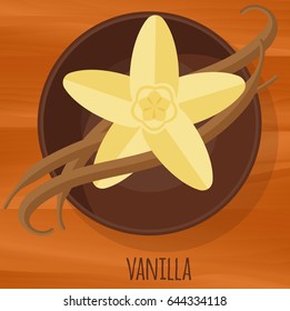 Vanilla flat design vector icon. Flavor spices and herbs menu template collection.