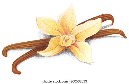 Vanilla Flower