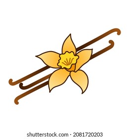 vanilla flower with vanilla bean sticks vector llustration logo icon clipart 