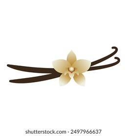 vanilla flower with vanilla bean sticks vector illustration logo icon clipart