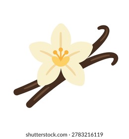 vanilla flower with vanilla bean sticks vector llustration clipart