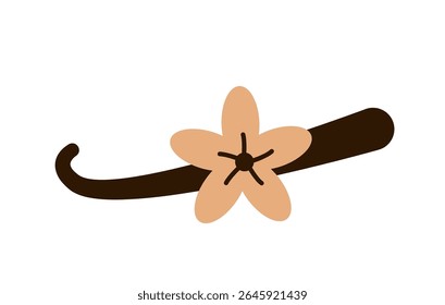 Flor de baunilha com vagem de feijão de baunilha marrom sobre fundo branco. Ilustração de vetor plano. Planta aromática e conceito de aroma natural. 