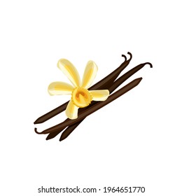 Vanilla flower and dried pods. Vector illustration cartoon flat icon isolated on white background.
