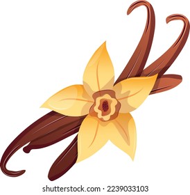Vanilla flower and dried sticks. Baking, bakery shop, cooking, dessert, pastry concept. Vector illustration in cartoon flat style for poster, banner, card, advertising, cooking app