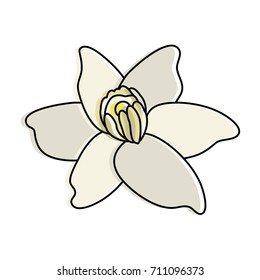 vanilla flower icon image 