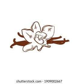 Logo del icono de la flor de vainilla en estilo vectorial dibujado a mano aislado en fondo blanco