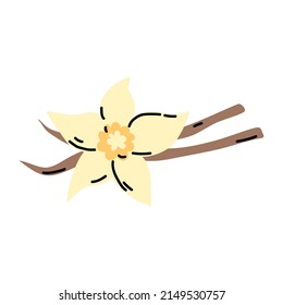 Flor de vainilla aislada de fondo blanco. Especias hechas a mano para imprimir. Ilustración plana vectorial.