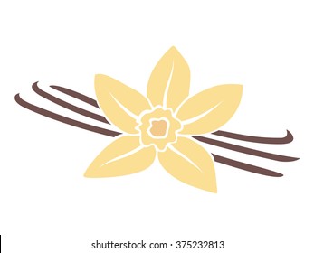 Vanilla Flower Isolated On White Background, Vector Illustration.