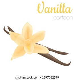 Vanilla flower isolated vector illustration, cartoon style colored clip-art.