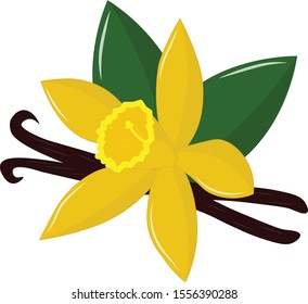 vanilla flower with leaves and chopsticks