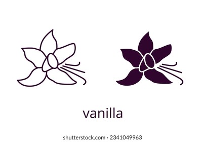 Flor de vainilla, trazo editable de línea y silueta