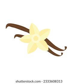 Vanilla flower on isolated white background.Vector illustration cartoon flat style