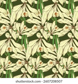 Vanilla flower pattern with vanilla bean in vintage color and style. Vector floral pattern. Flower illustration