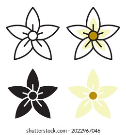 Vanilla flower. A plant, preparations from which are used as an essential oil aromatic agent. Vector illustration isolated on a white background for design and web.