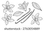 Vanilla flower and pod botanical line art set, hand drawn spice illustration, minimal outline elements isolated on white background, clean vector style for design and packaging