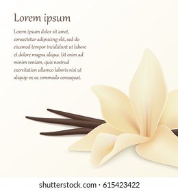 Vanilla flower and pods background.