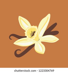 Vanilla Flower With Pods Color Silhouette Illustration