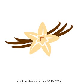 Vanilla Flower With Pods Color Silhouette Illustration