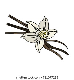 vanilla flower and pods icon image 