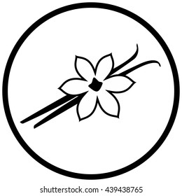 Vanilla flower and pods vector illustration