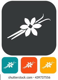 Vanilla flower and pods vector illustration