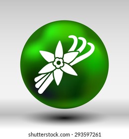Vanilla flower and vanilla pods Vector Logo.