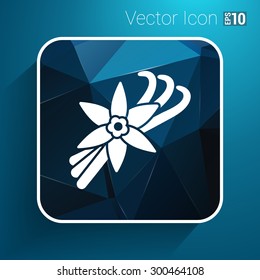 Vanilla flower and vanilla pods Vector Logo.
