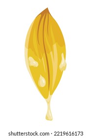 Vanilla flower. Realistic vector isolated design element. Nature spice. Yellow blossom with drops