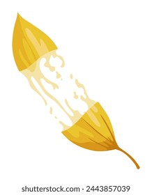Vanilla flower. Realistic vector isolated design element. Nature spice. Yellow bud with drops