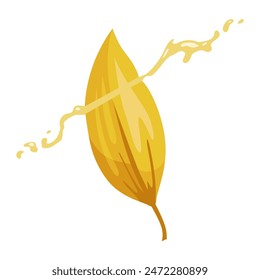 Vanilla flower. Realistic vector isolated design element. Nature spice. Yellow bud with drops