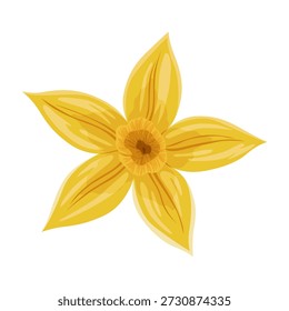 Vanilla flower. Realistic vector isolated design element. Nature spice. Yellow blossom with drops