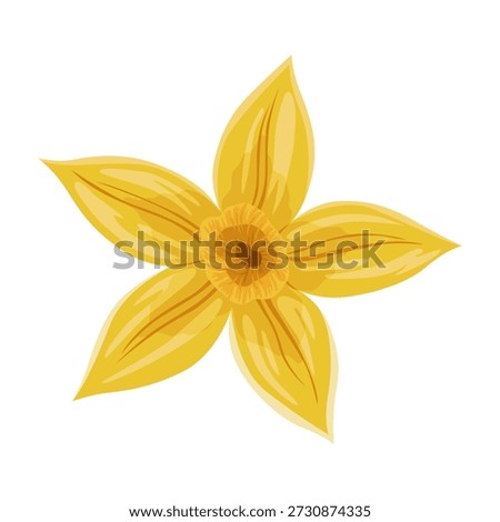 Vanilla flower. Realistic vector isolated design element. Nature spice. Yellow blossom with drops