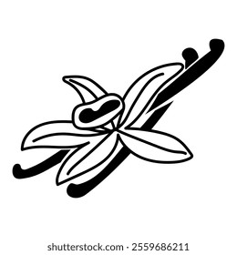 Vanilla flower with a set of sticks. Vector hand-drawn illustration of an orchid flower and pods on an isolated background. A package with a contour drawing of spices. in style line art, silhouette