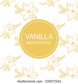 Vanilla flower sketch on white background square composition