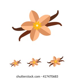Vanilla flower and sticks