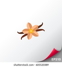 Flor y palos de vainilla