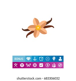Vanilla flower and sticks