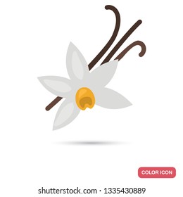 Vanilla flower and sticks color flat icon for web and mobile design