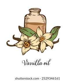 Vanilla Flower with Sticks and jar with oil sketch set. Vector hand drawn illustration of orchid Flower and pods.