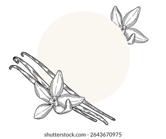 Vanilla Flower with Sticks round frame composition. Vector hand drawn illustration of orchid Flower and pods. Drawing on isolated background. Outline drawing of spice. 