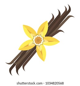 Vanilla flower with stitch and leaves. Spice for baking, pastry, cakes, for culinary products. Flat vector cartoon illustration. Objects isolated on white background.