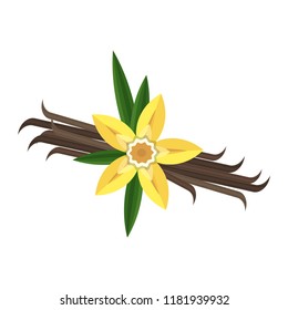 Vanilla flower with stitch and leaves. Spice for baking, pastry, cakes, for culinary products. Flat vector cartoon illustration. Objects isolated on white background.
