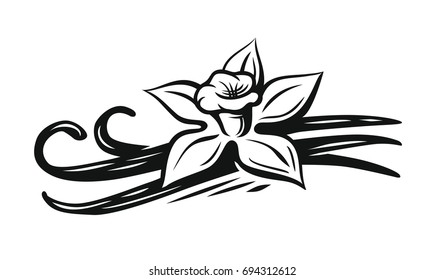 Vanilla Flower Vector Black On White Background