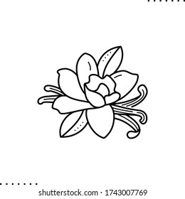 Vanilla Flower Vector Icon In Outline. 