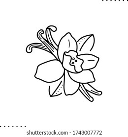 Vanilla Flower Vector Icon In Outline. 