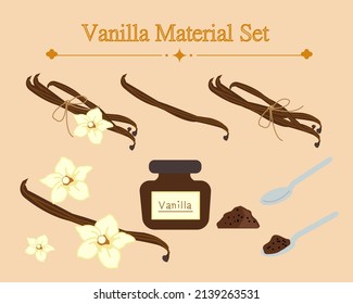 Vanilla flowers and vanilla pods or beans, vanilla extract. The taste of ice cream. Vector set