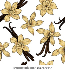 Vanilla flowers and pods. Vector seamless pattern. Vintage style